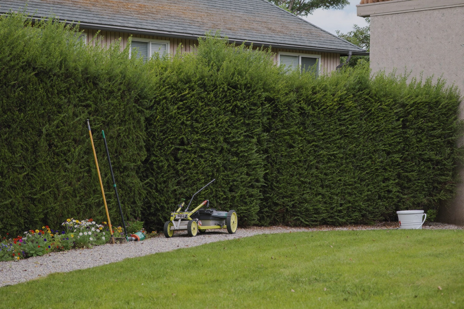 Gepflegter Garten mit geschnittener Hecke und Rasen