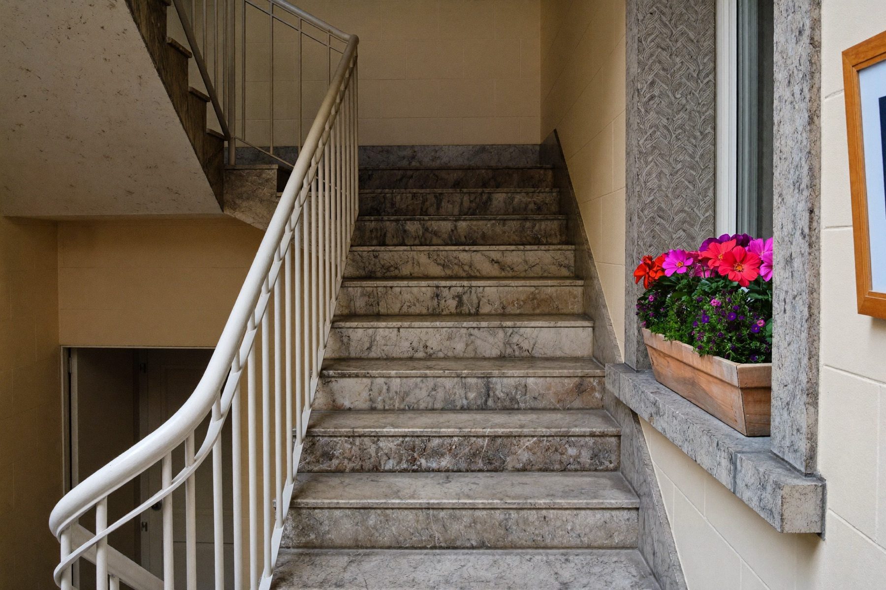 Gepflegtes Treppenhaus mit Blumenkasten am Fenster